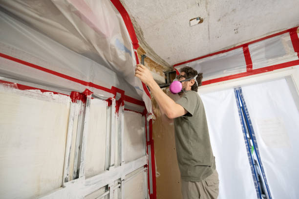 Best Water Damage & Mold Remediation  in Potomac Park, CA